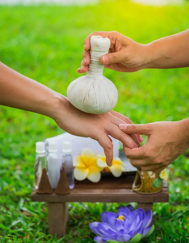 Ayurvedic Treatment & Panchakarma at Shri Vishwavedhika